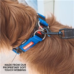 EzyDog Double Up Collar Red