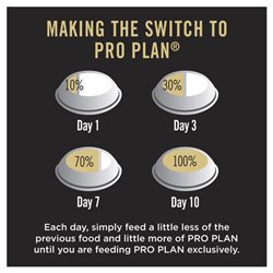 Pro Plan Adult Large Breed Chicken Dry Dog Food