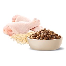 Advance Medium Adult Chicken with Rice Dry Dog Food