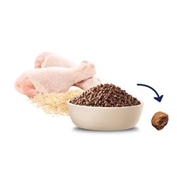 Advance Small Puppy Chicken with Rice Dry Dog Food