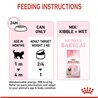 Royal Canin Mother & Babycat Mousse Wet Cat Food