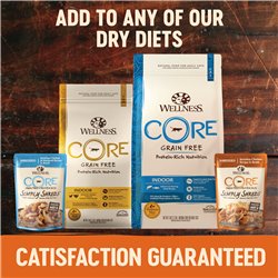 Wellness Core Simply Shreds for Cats Chicken