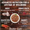 Wellness Core Tender Cuts for Cats Chicken & Chicken Liver