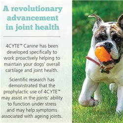 4CYTE Canine Granules