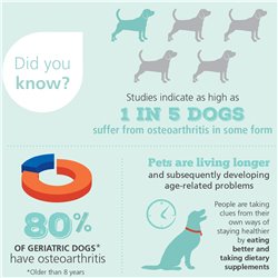 4CYTE Canine Granules