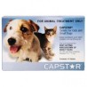 Capstar 11MG Cats/Small Dogs