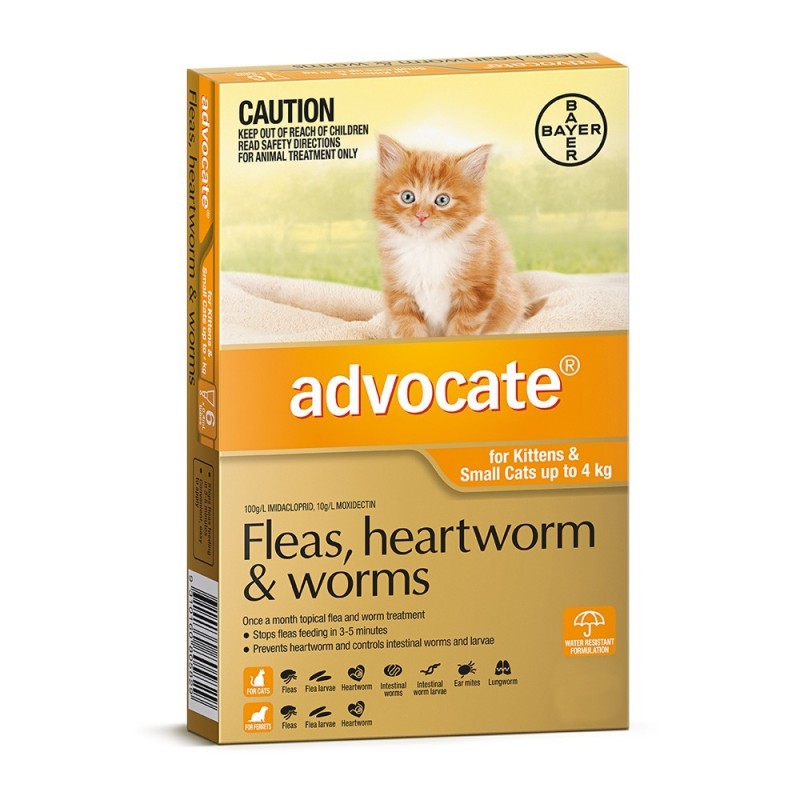 Advocate Cat Small Orange 0-4KG