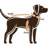Dapper Dog Oilskin Dog Coat 