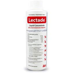 Lectade Concentrate 250ml