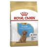 Royal Canin Poodle Puppy Junior Dry Food 3kg