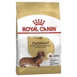 Royal Canin Dachshund