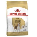 Royal Canin Beagle