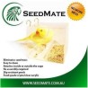 SeedMate Bird Feeder (Small)