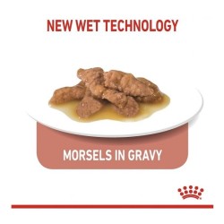 Royal Canin Indoor Sterilised Wet Food for Cats in Gravy