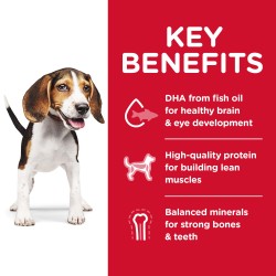 Science Diet Puppy Healthy Development Original