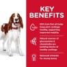 Science Diet Dog Healthy Mobility 
