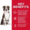 Science Diet Dog Healthy Mobility Large Breed