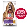 Hill's Science Diet Adult Large Breed Sensitive Stomach & Skin Dry Dog Food
