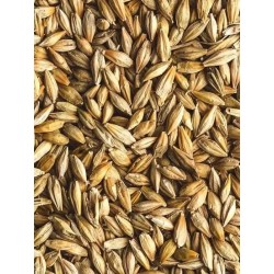 Avigrain Barley 20kg (WAREHOUSE PICK UP ONLY)