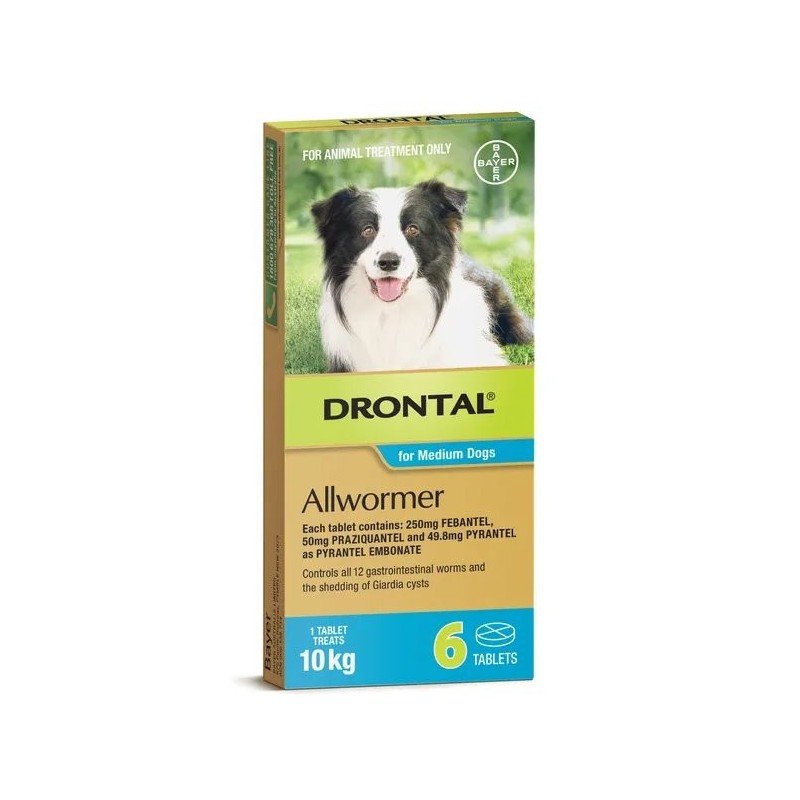 Drontal Dog 10kg 6 Tablets
