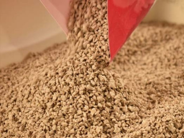 Which Cat Litter should i use?