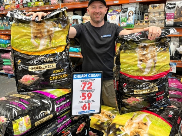 Is expensive dog food really worth it over its cheaper counterparts?