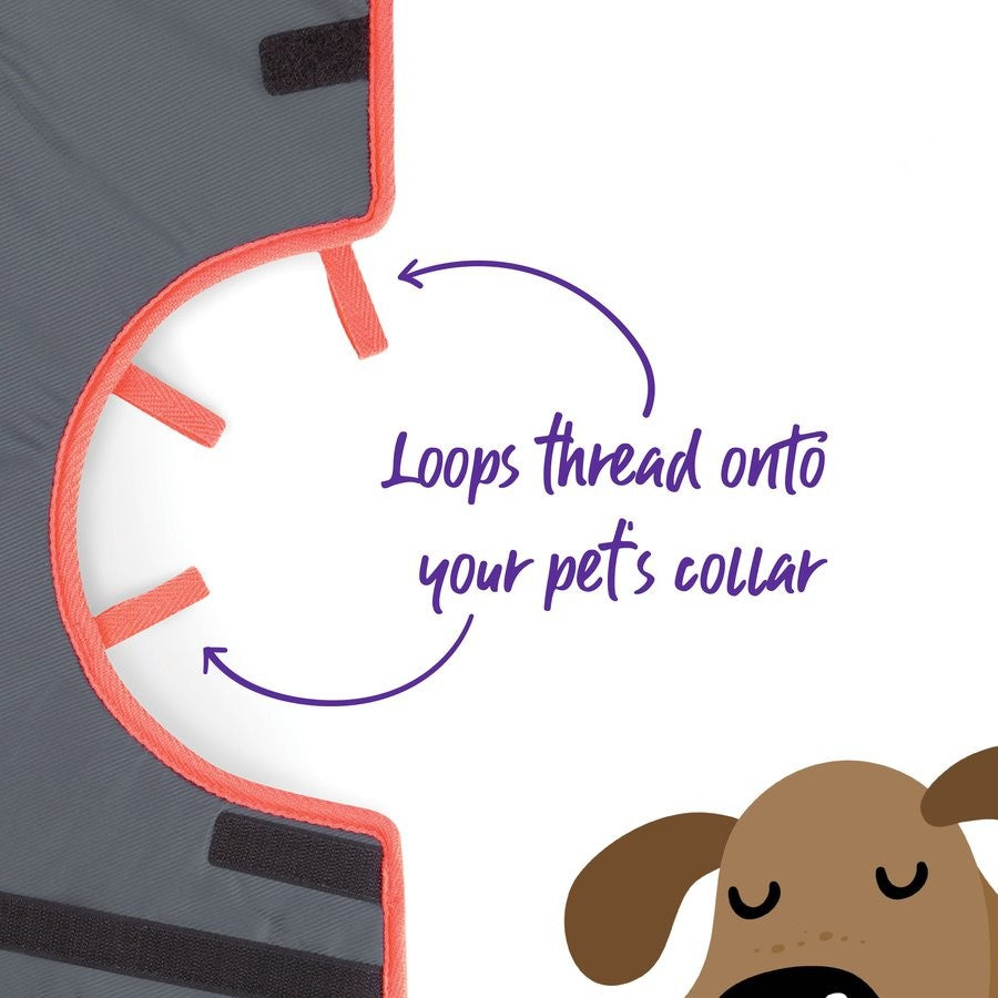 Kazoo Comfy Recovery Neck Collar