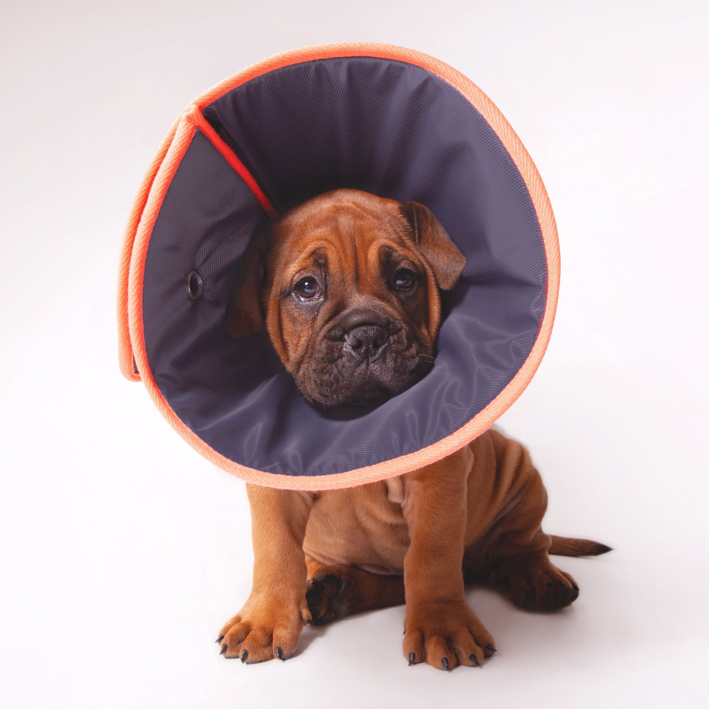 Kazoo Comfy Recovery Neck Collar