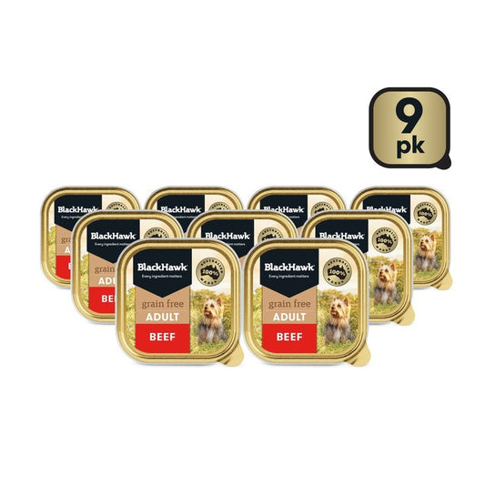 Black Hawk Grain Free Beef 100g