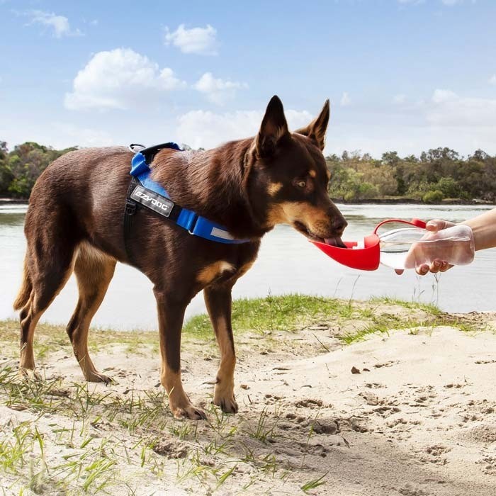 EzyDog Bottle Leaf