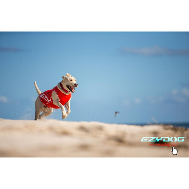 EzyDog Rashies