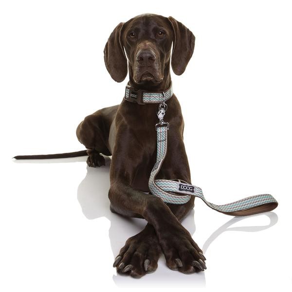 DOOG Neoprene Dog Leash Benji