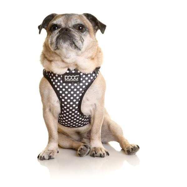 DOOG Neoflex Dog Harness Pongo