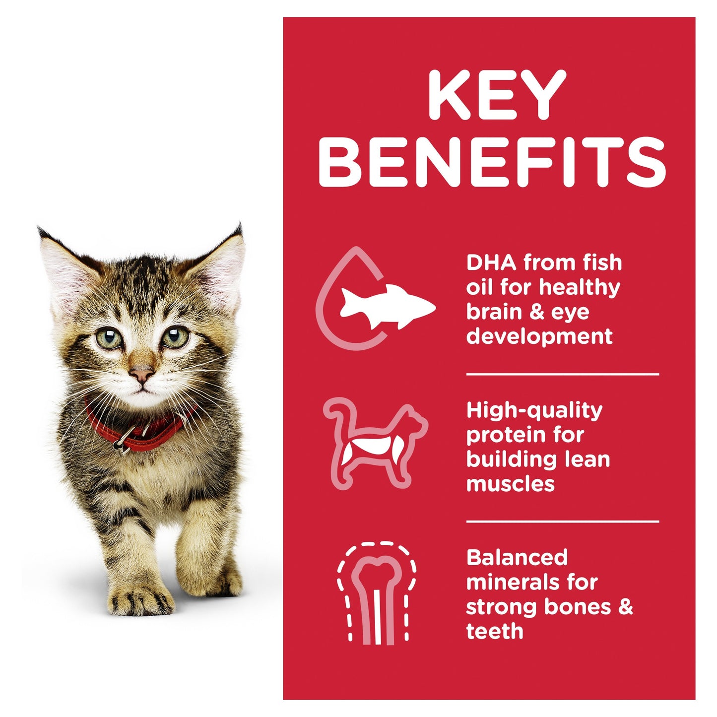 Hill's Science Diet Kitten Ocean Fish Wet Cat Food Pouches