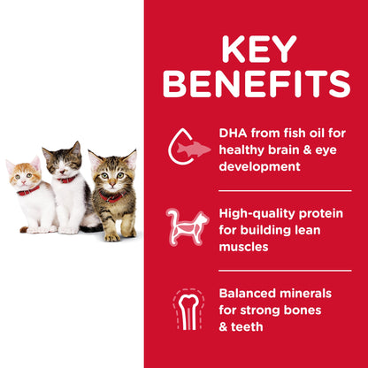 Hill's Science Diet Kitten Dry Cat Food