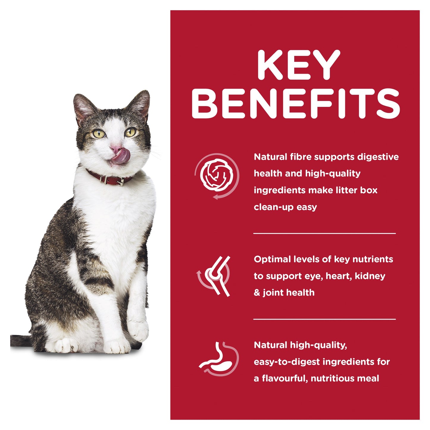 Hill's Science Diet Adult 11+ Indoor Dry Cat Food