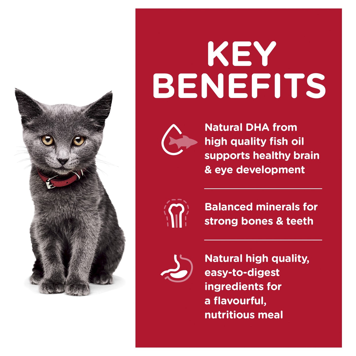 Hill's Science Diet Kitten Indoor Dry Cat Food