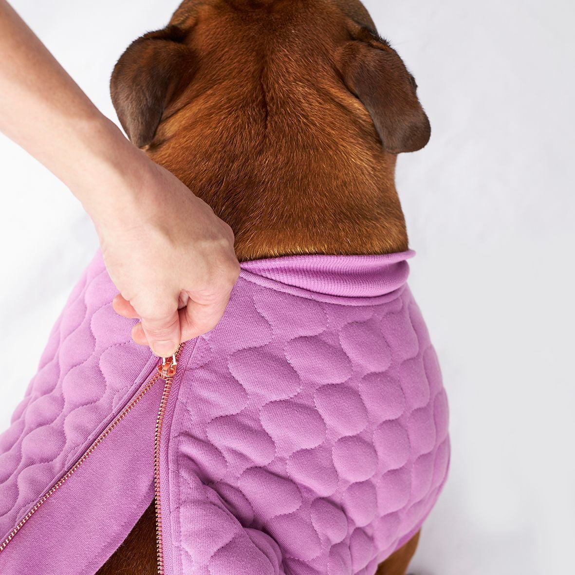 Kazoo Pink Petal Jacket