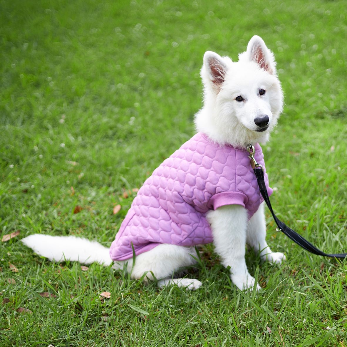 Kazoo Pink Petal Jacket