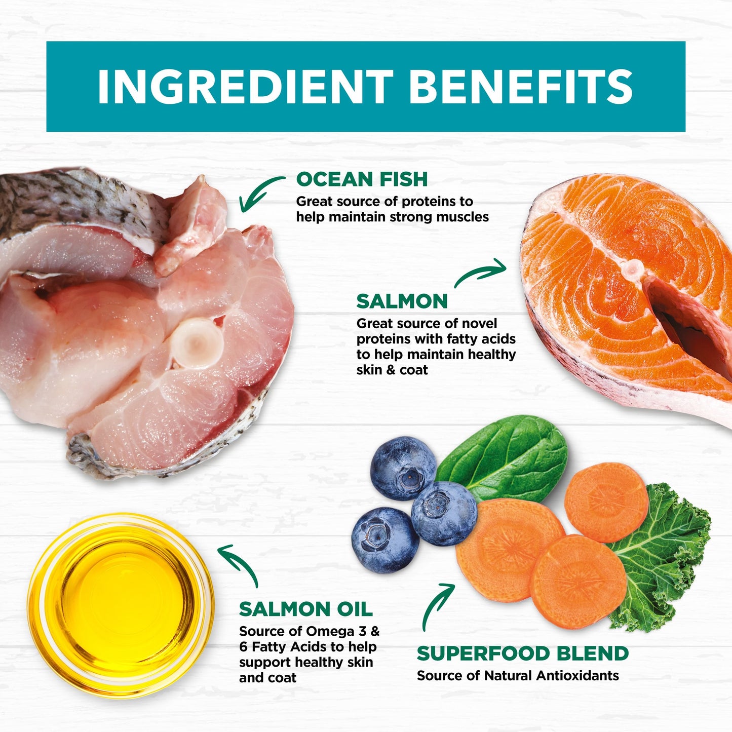 Ivory Coat Grain Free Adult Dry Cat Food Ocean Fish & Salmon