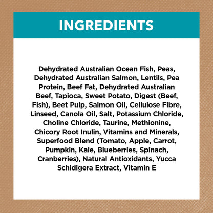 Ivory Coat Grain Free Adult Dry Cat Food Ocean Fish & Salmon