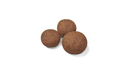 Royal Canin Medium Puppy Dry Dog Food