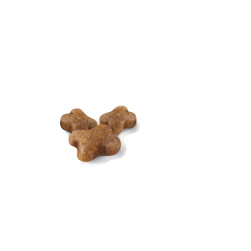 Royal Canin Kitten Cat Dry Food Bag