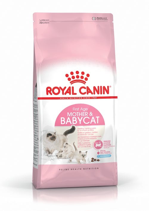 Royal Canin Mother & Baby Cat Dry Food Bag