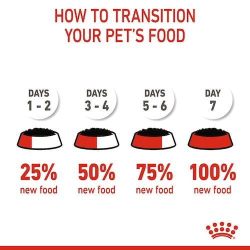 Royal Canin Kitten Instinctive Cat Wet Food Pouches in Jelly