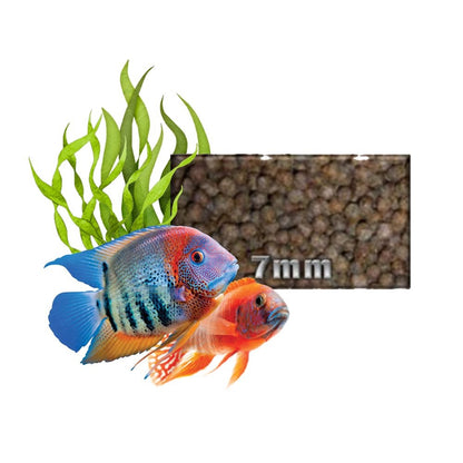 Feedwell Cichlid Pellet Large