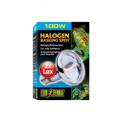 Exo Terra Halogen Basking Spot Lamp