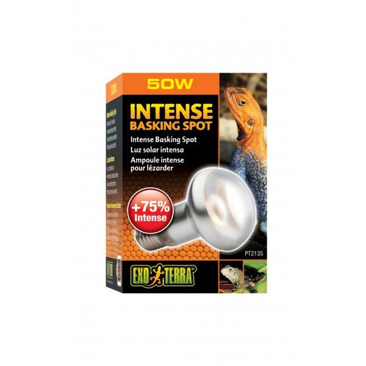 Exo Terra Intense Basking Spot Lamp