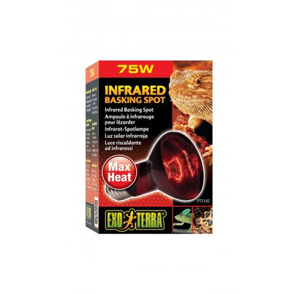 Exo Terra Heat Glo Infrared Heat Lamp