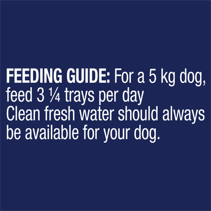ADVANCE Wet Healthy Ageing Dog Food Chicken with Rice 100g x 12